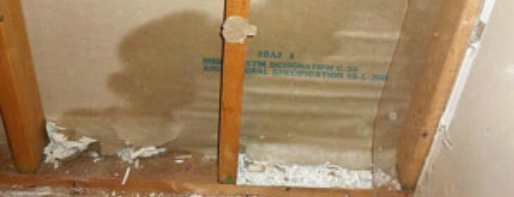 Drying Drywall After Water Damage 5 Effective DIY Steps