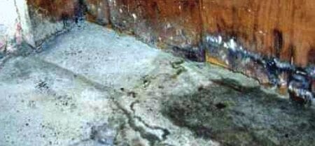 white mold in basement