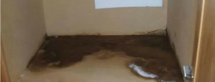 How to Get Rid of Mold Under Your Sink Quickly and Effectively