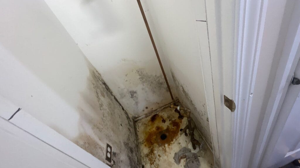 Mold in a New Construction How Dream Houses Nightmares