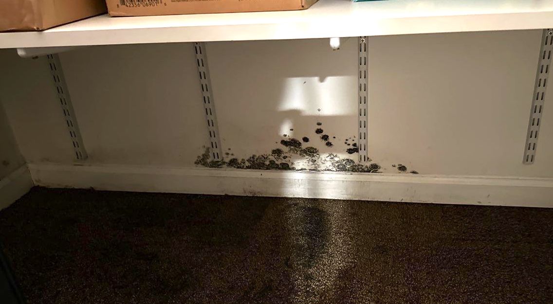 mold in closet