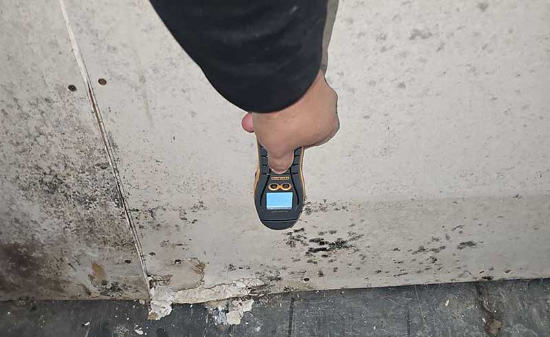 A person holding a handheld moisture meter