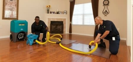 professionals repairing laminate floor