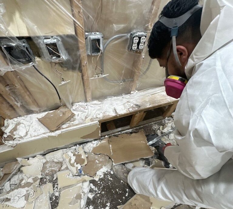 how to remove mold from a plywood subfloor