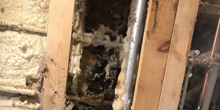 contractor water damage