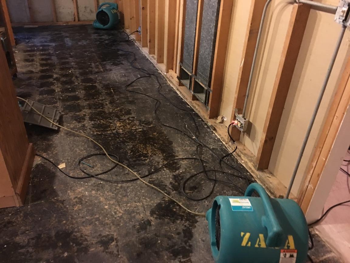 Stagnant Water Why It’s Dangerous and How to Get Rid of it