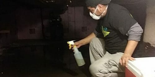 Picture of Flooded Basement Cleanup Essential Steps to Restore Your Home After ...