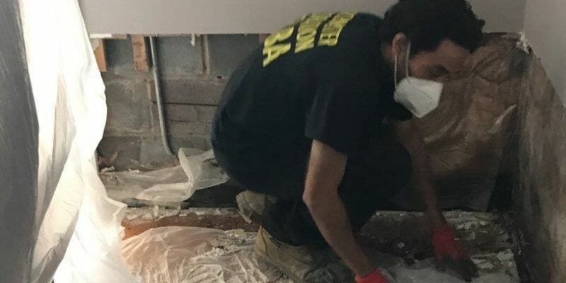 chicago water damage expert