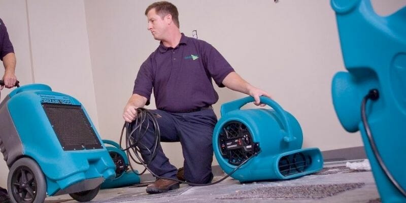 air movers carpet