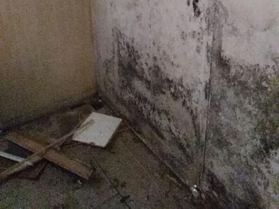 crawl space mold removal