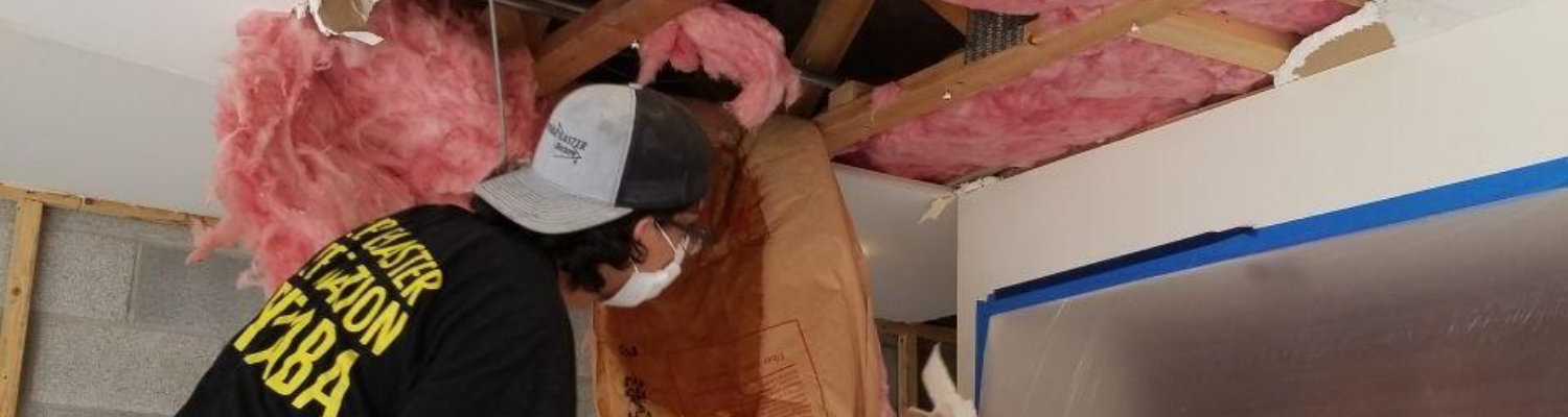 leak in the attic chicago il