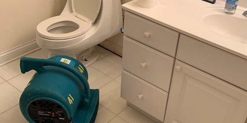 toilet overflow restoration