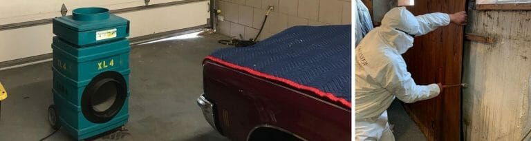 mold in garage