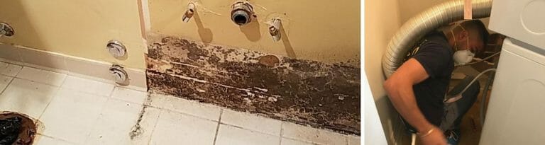 mold in laundry room