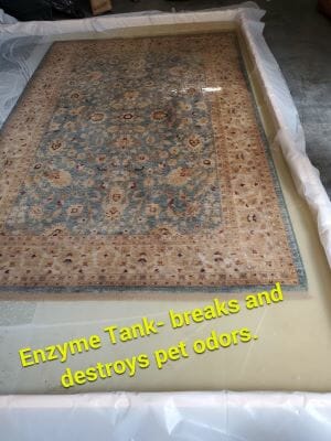 area rug cleaning odor removal northbrook