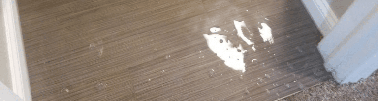 home water damage