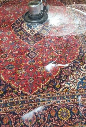 rug cleaning service in morton grove, il