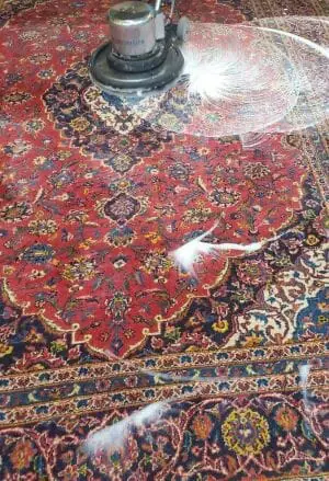 area rug cleaners river north