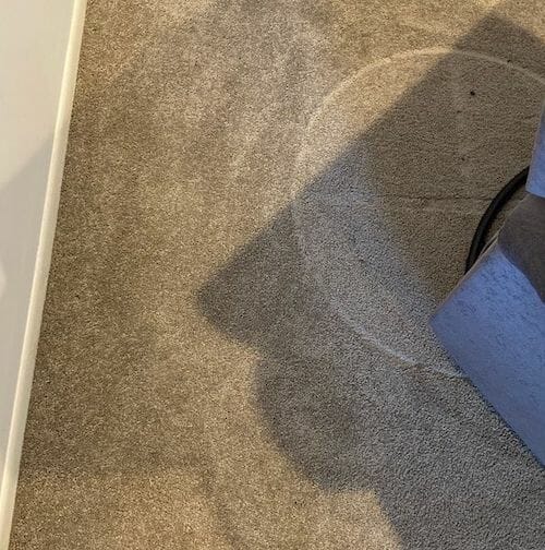 Carpet Cleaning Service for Des Plaines, IL ServiceMaster by Zaba
