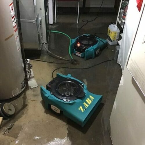 water damage cleanup buffalo grove