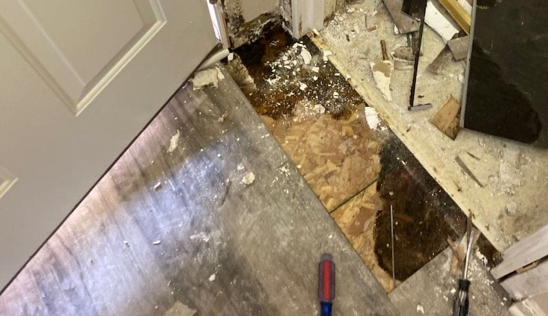 how to treat mold on a subfloor