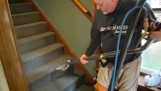 carpet cleaning budlong woods