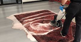 carpet cleaning park ridge