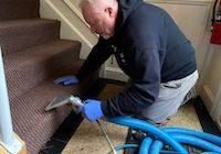 carpet water extraction budlong woods