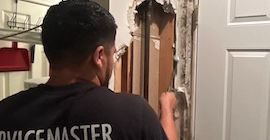 mold remediation park ridge