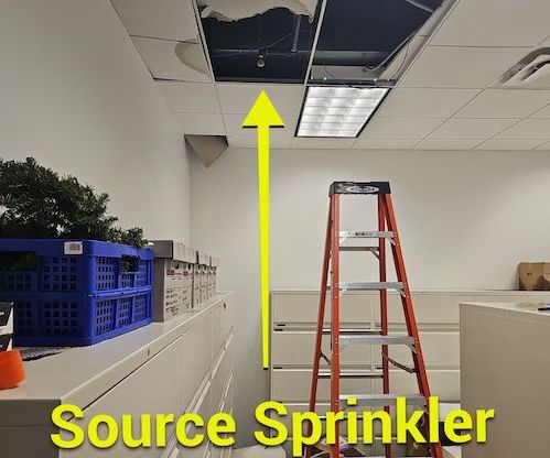 broken fire sprinkler pilsen