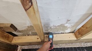mold inspection noble square