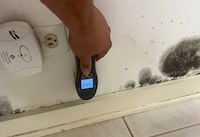 mold inspection old town