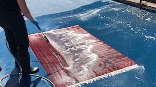 rug cleaning lake view
