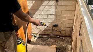 targeted mold removal wheeling