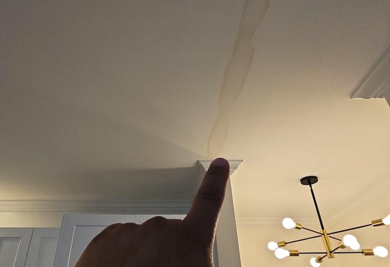 multi unit water damage chicago