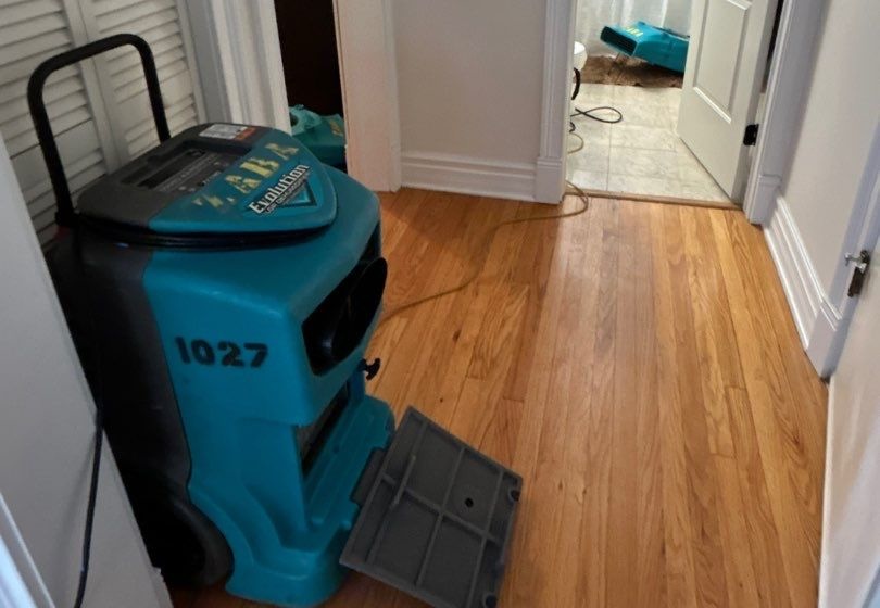 drying after water damage condo chicago