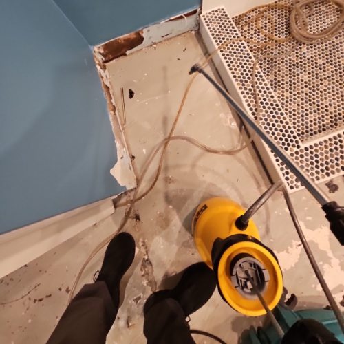 Sewage cleanup in Edison Park home