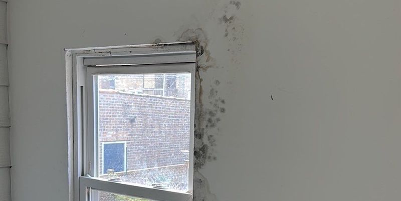 mold window condo chicago