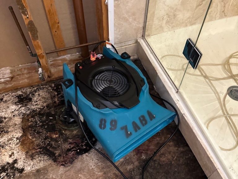 Old Town, Chicago Condo Restored After Multi-Level Water Damage