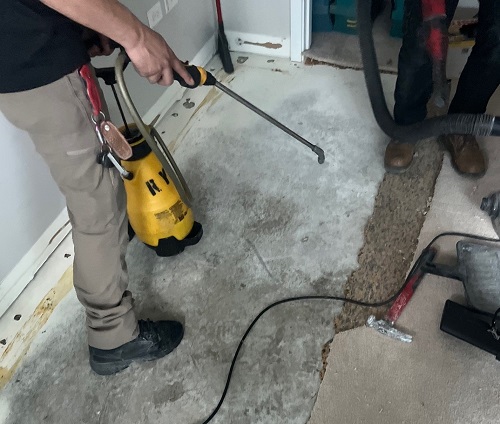 sanitizing after water damage