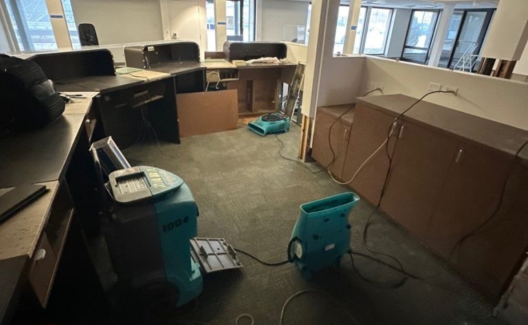 Norwood Park Bank Restored After Burst Pipe