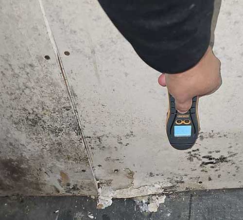 mold inspection chicago