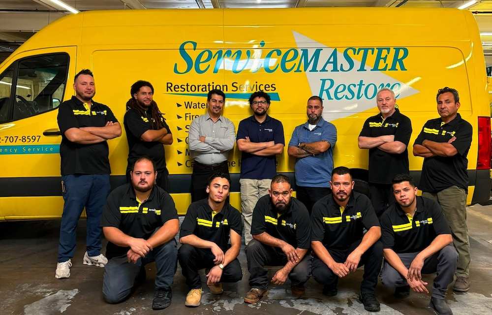 servicemaster by zaba team niles il