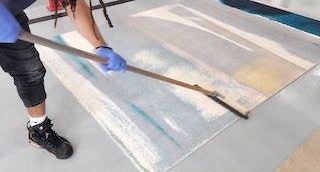 area rug grooming